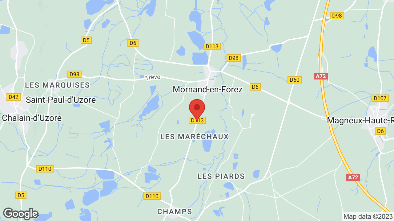 Maréchaux, 42600 Mornand-en-Forez, France