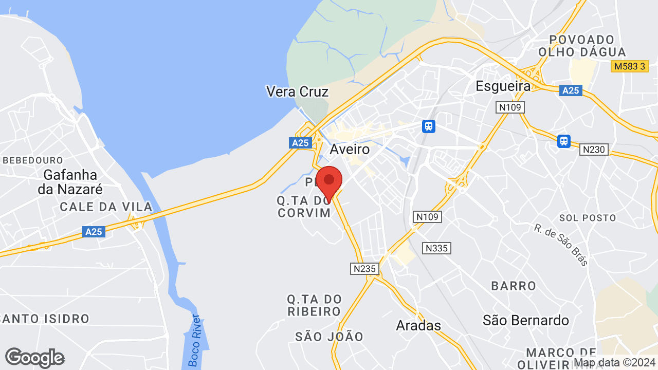 3810-193 Aveiro, Portugal