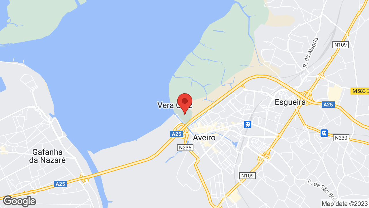 Av. Dr. David Cristo 3800, 3800 Aveiro, Portugal