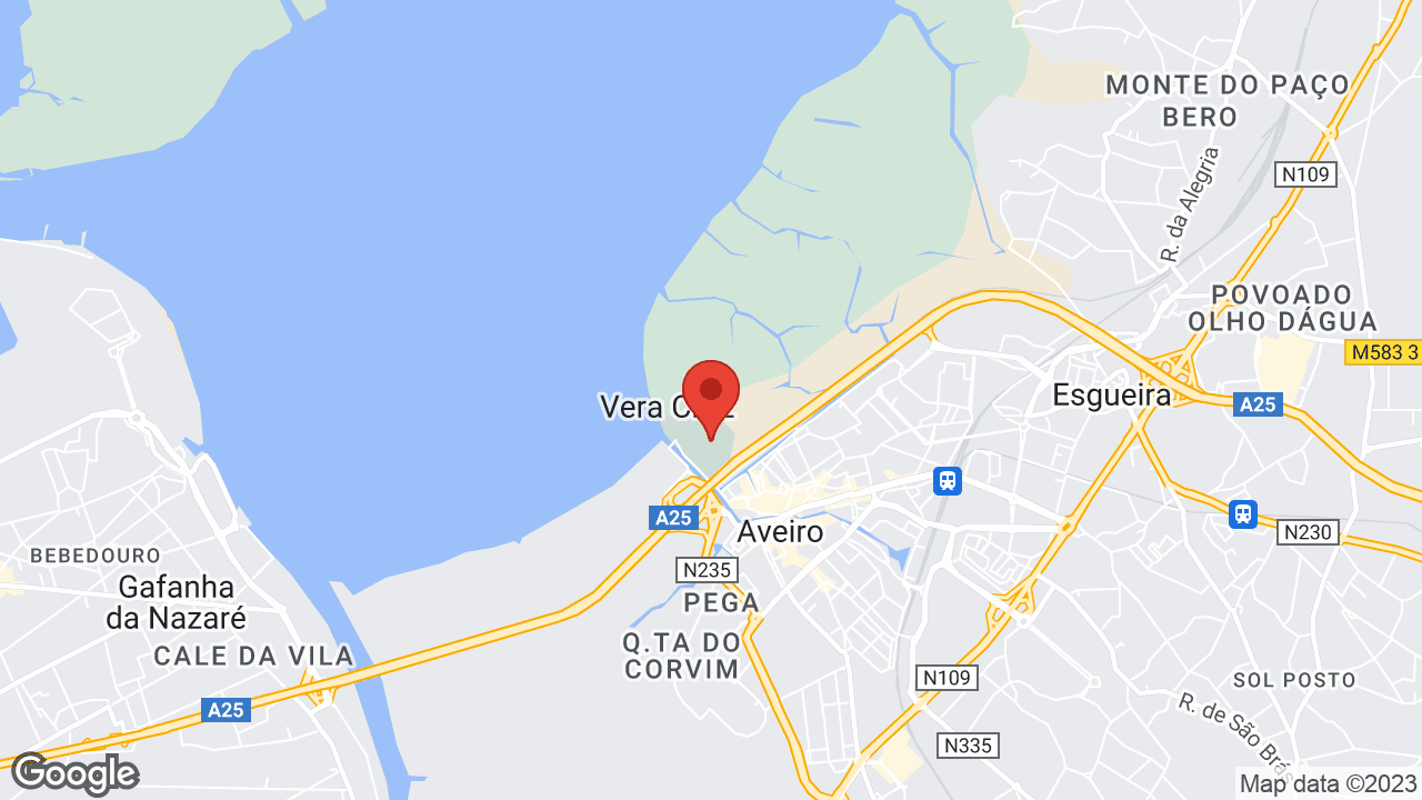 Avenida Doutor David Cristo s/n, Marinha da Noeirinha, 3800-366 Aveiro, Portugal