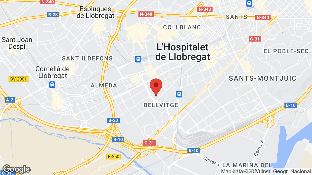 Passatge Can Polític, 13, 08907 L'Hospitalet de Llobregat, Barcelona, Spain