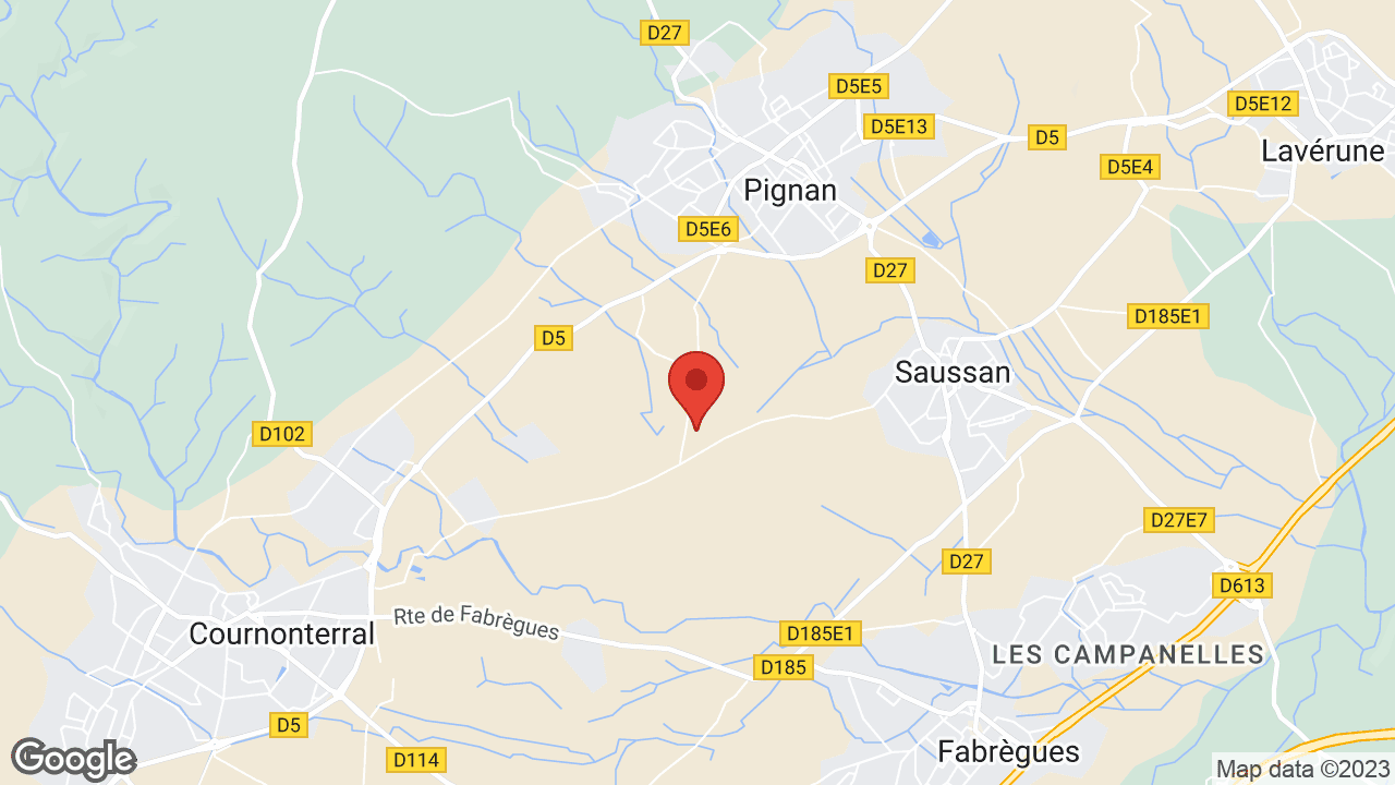 107 Chem. de, La Plaine, 34570 Pignan, France