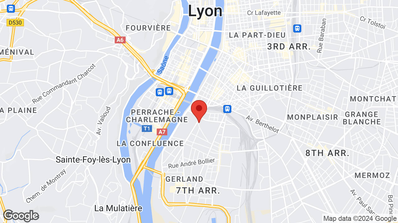 3 Rue Pré-Gaudry, 69007 Lyon, France