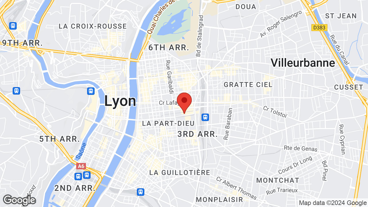 17 Rue Dr Bouchut, 69003 Lyon, France