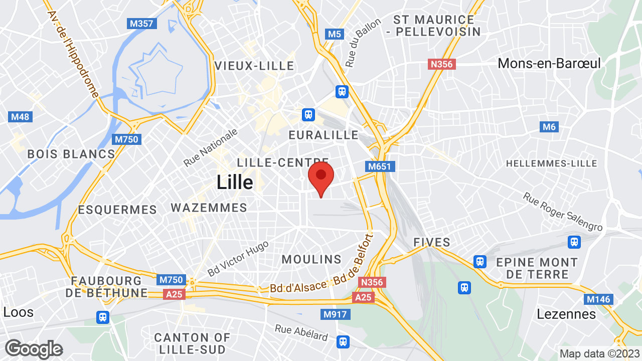 9 Rue Camille Guérin 59000