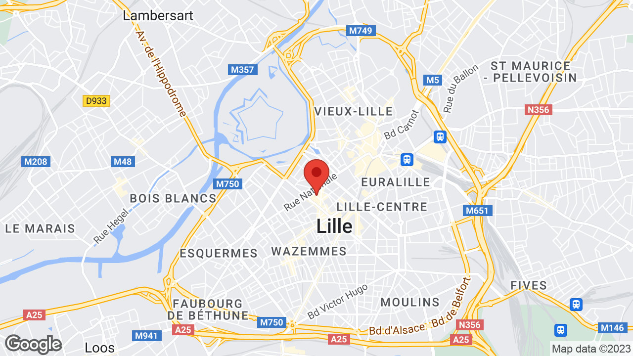 17 Rue du Faisan, 59800 Lille, France