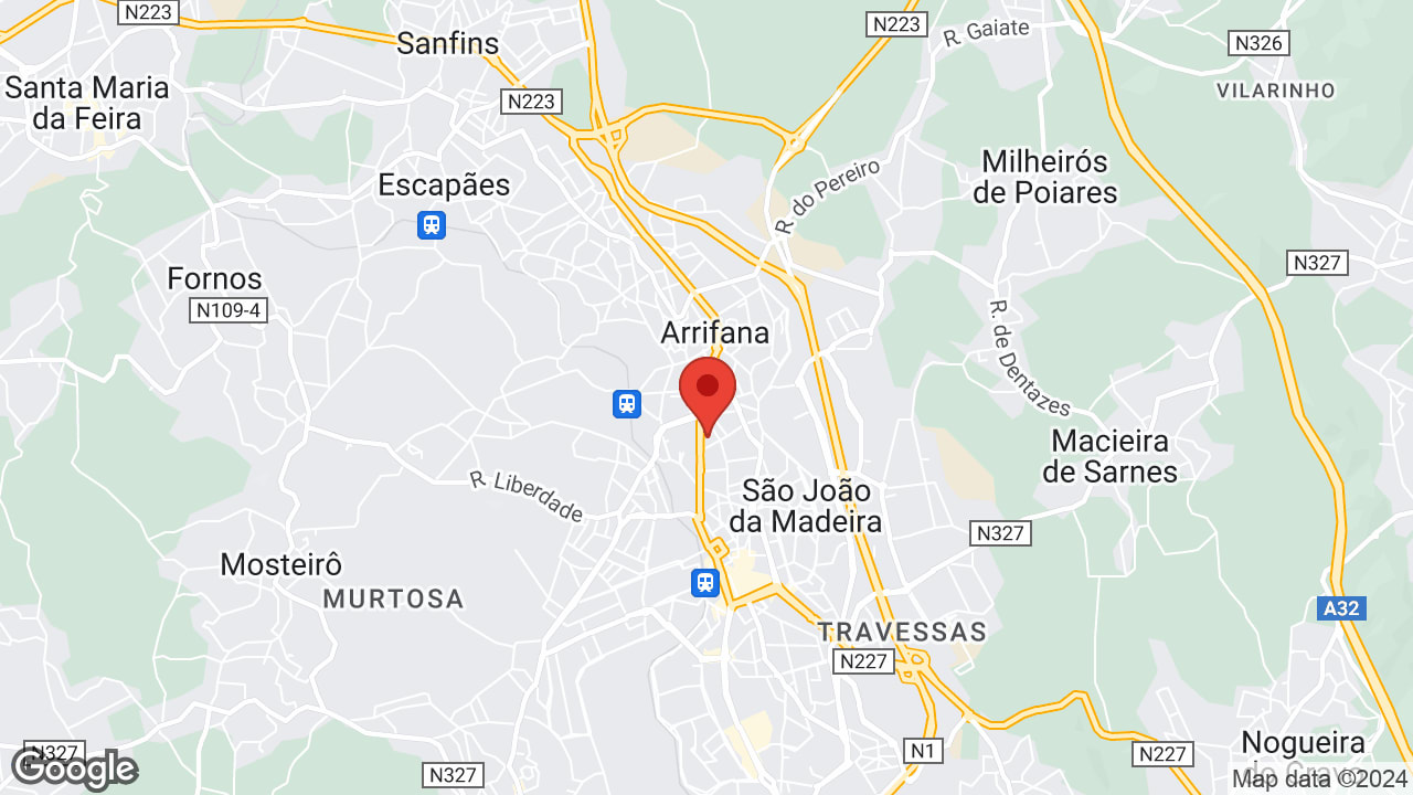 R. António José de Oliveira Júnior 918, 3700 São João da Madeira, Portugal