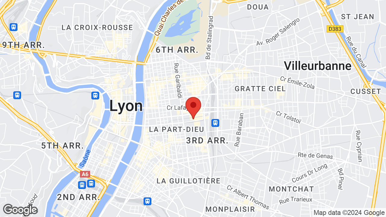 17 Rue Dr Bouchut, 69003 Lyon, France