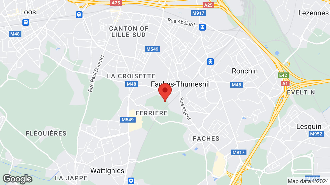 Chem. des Perisseaux, 59155 Faches-Thumesnil, France