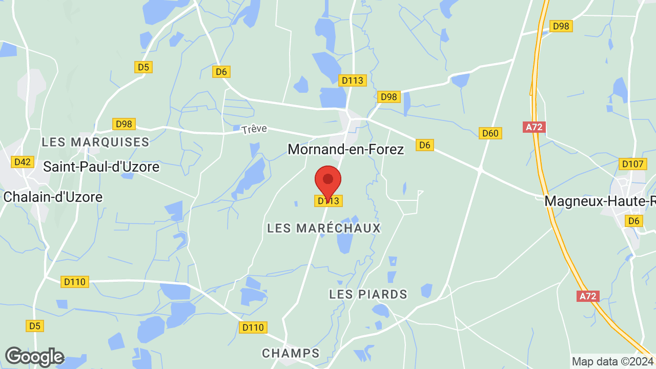 Maréchaux, 42600 Mornand-en-Forez, France