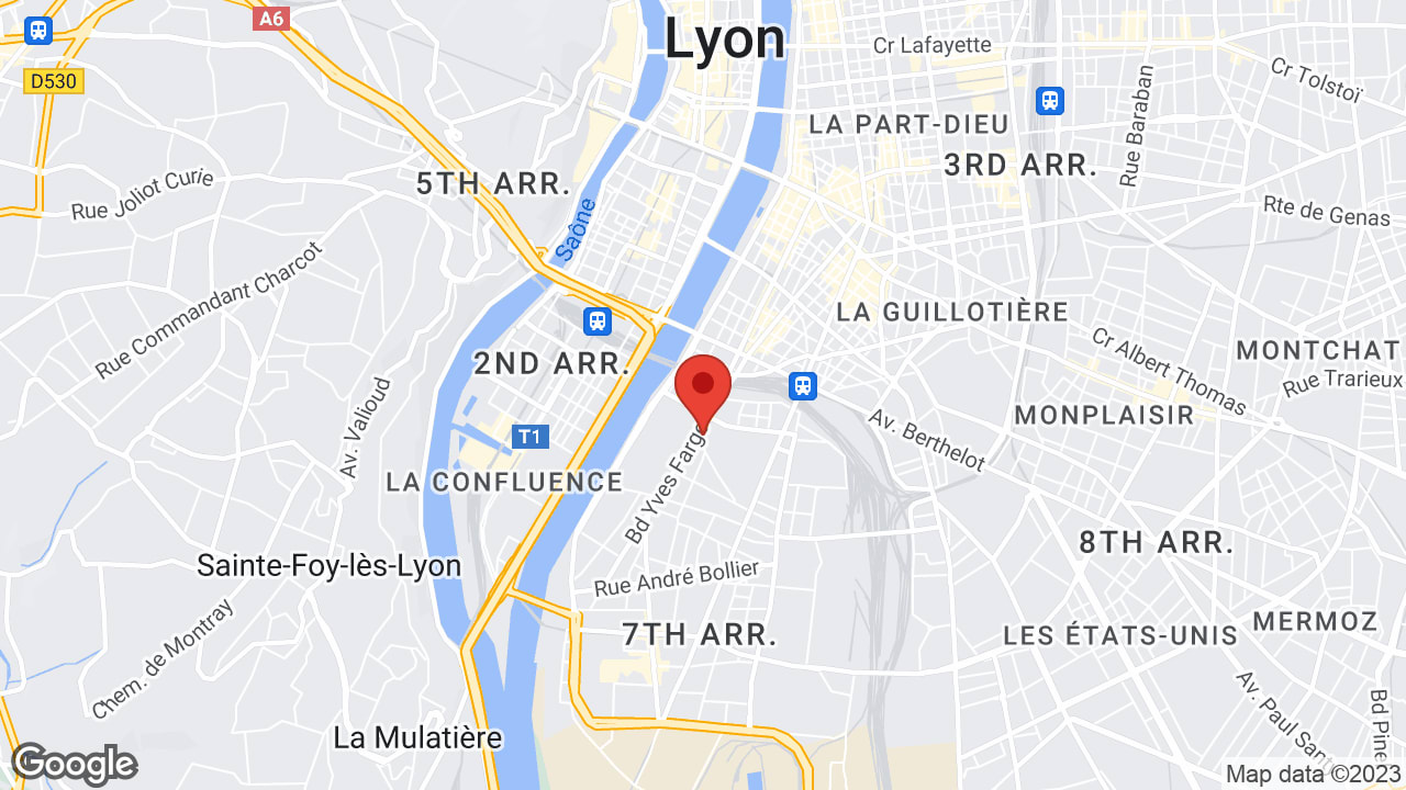 3 Rue Pré-Gaudry, 69007 Lyon, France