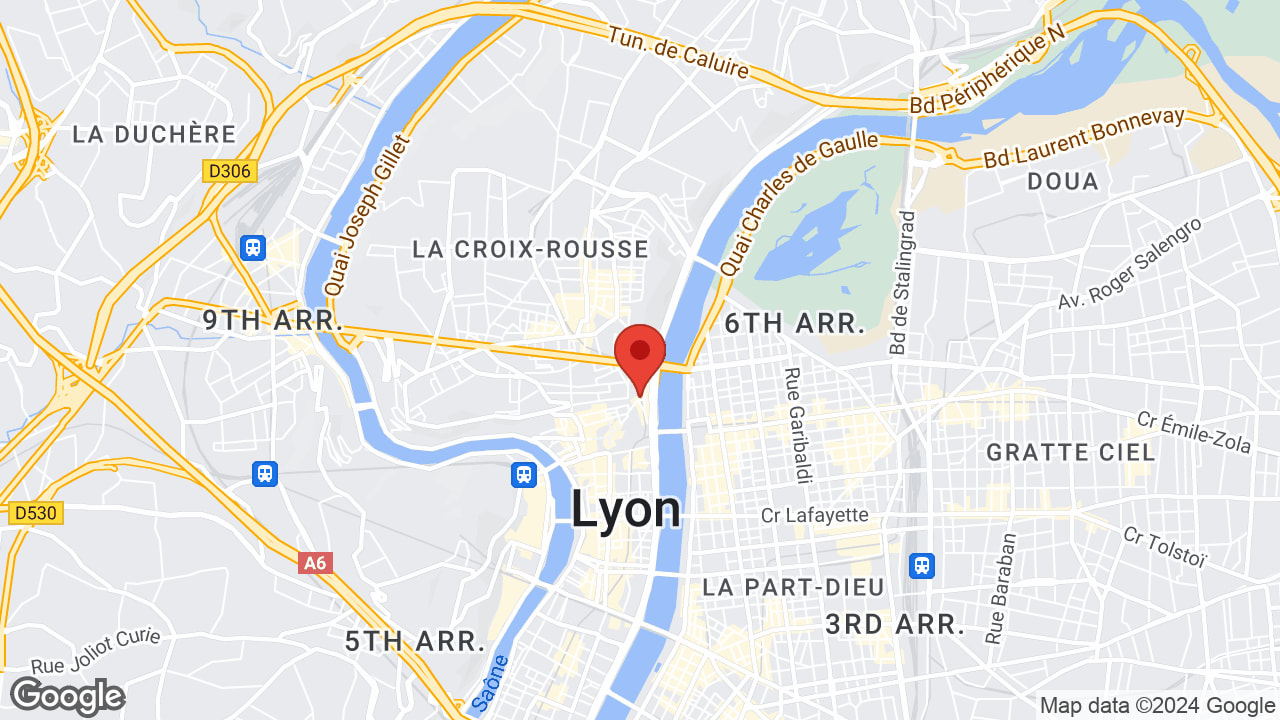 6 Rue Roger Violi, 69001 Lyon, France