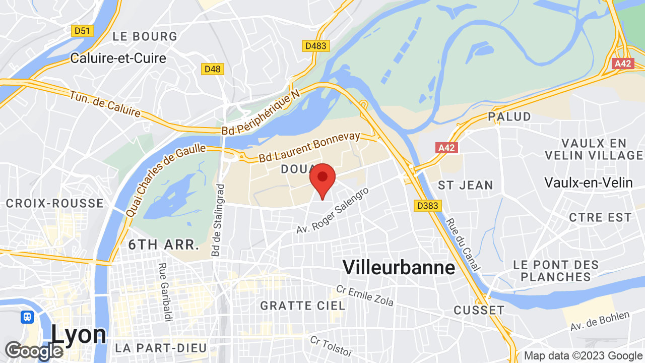 17 Rue Marcel Dutartre, 69100 Villeurbanne, France