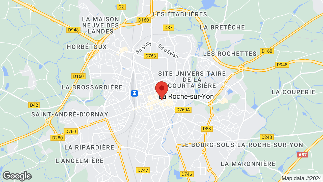 85000 La Roche-sur-Yon, France