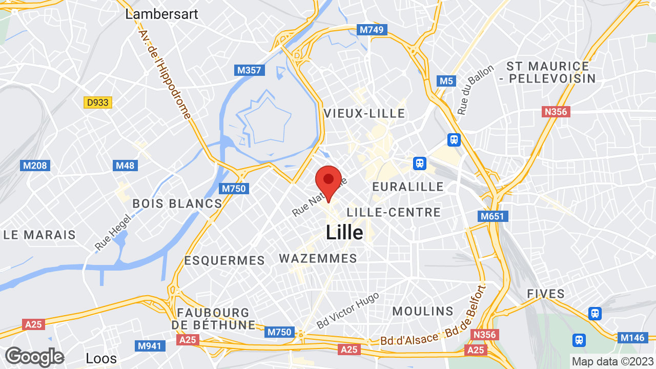 29 Rue du Faisan, 59800 Lille, France