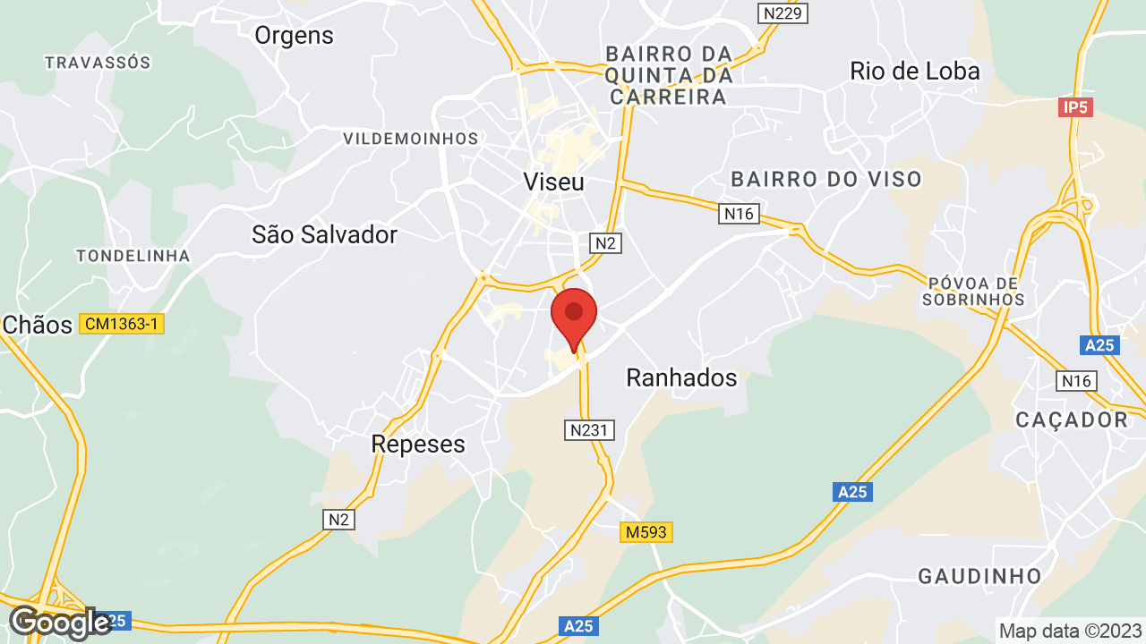 R. Q.ta da Alagoa, 3500-606 Viseu, Portugal