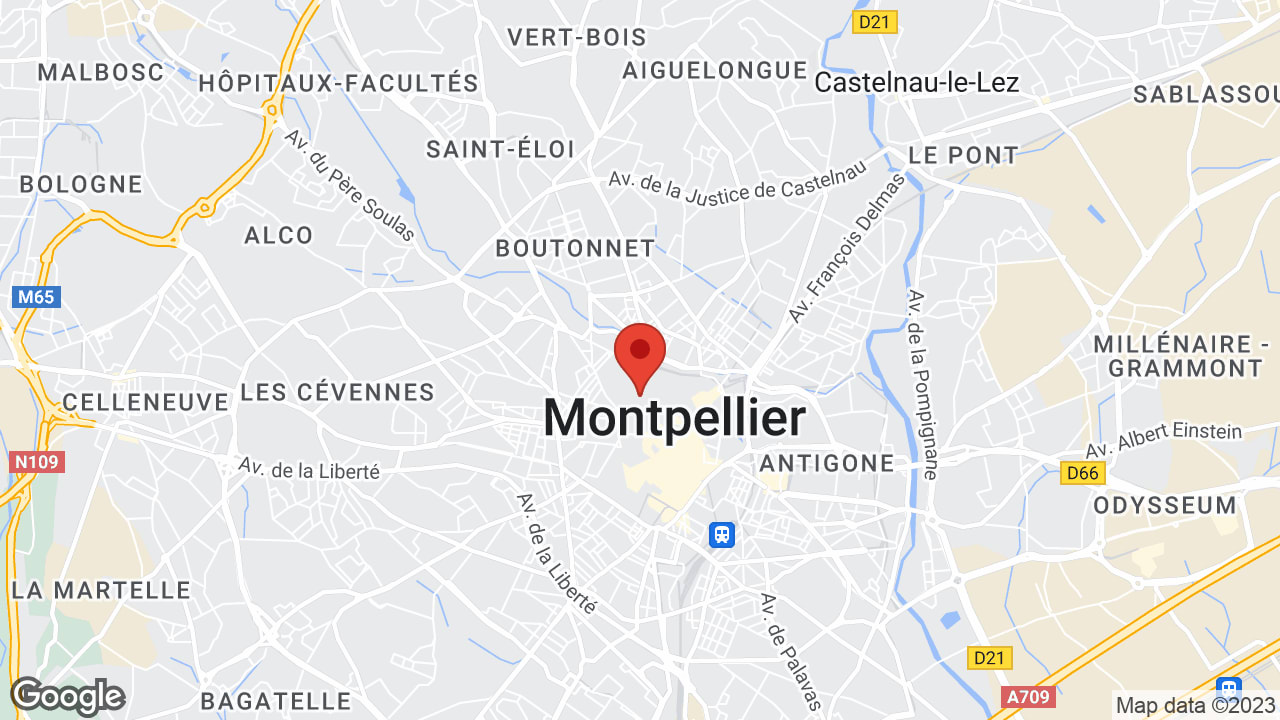 2 Rue de l'École de Médecine, 34090 Montpellier, France