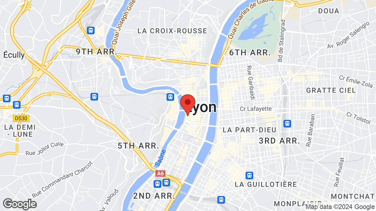 30 Quai Saint-Antoine, 69002 Lyon, France