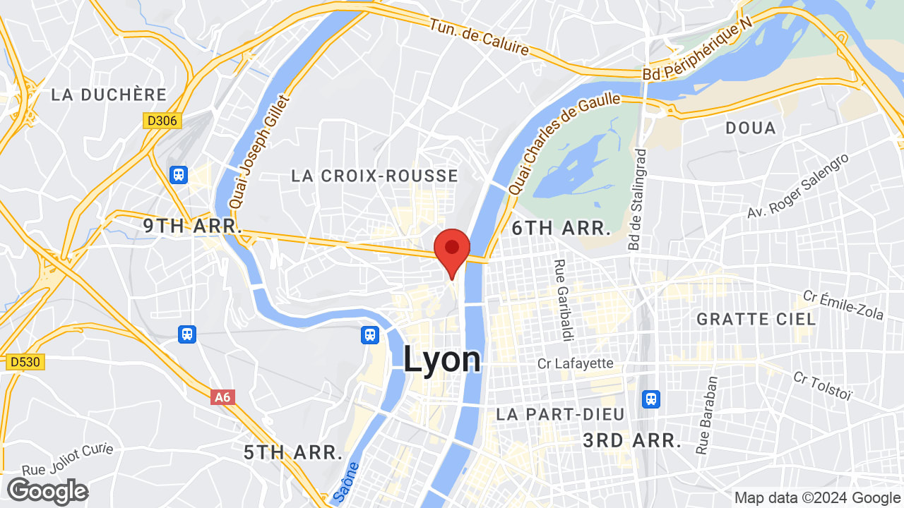 6 Rue Roger Violi, 69001 Lyon, France