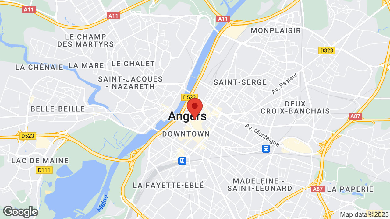 33 Rue de la Roë, 49100 Angers, France