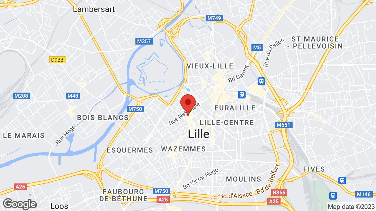 17 Rue du Faisan, 59800 Lille, France