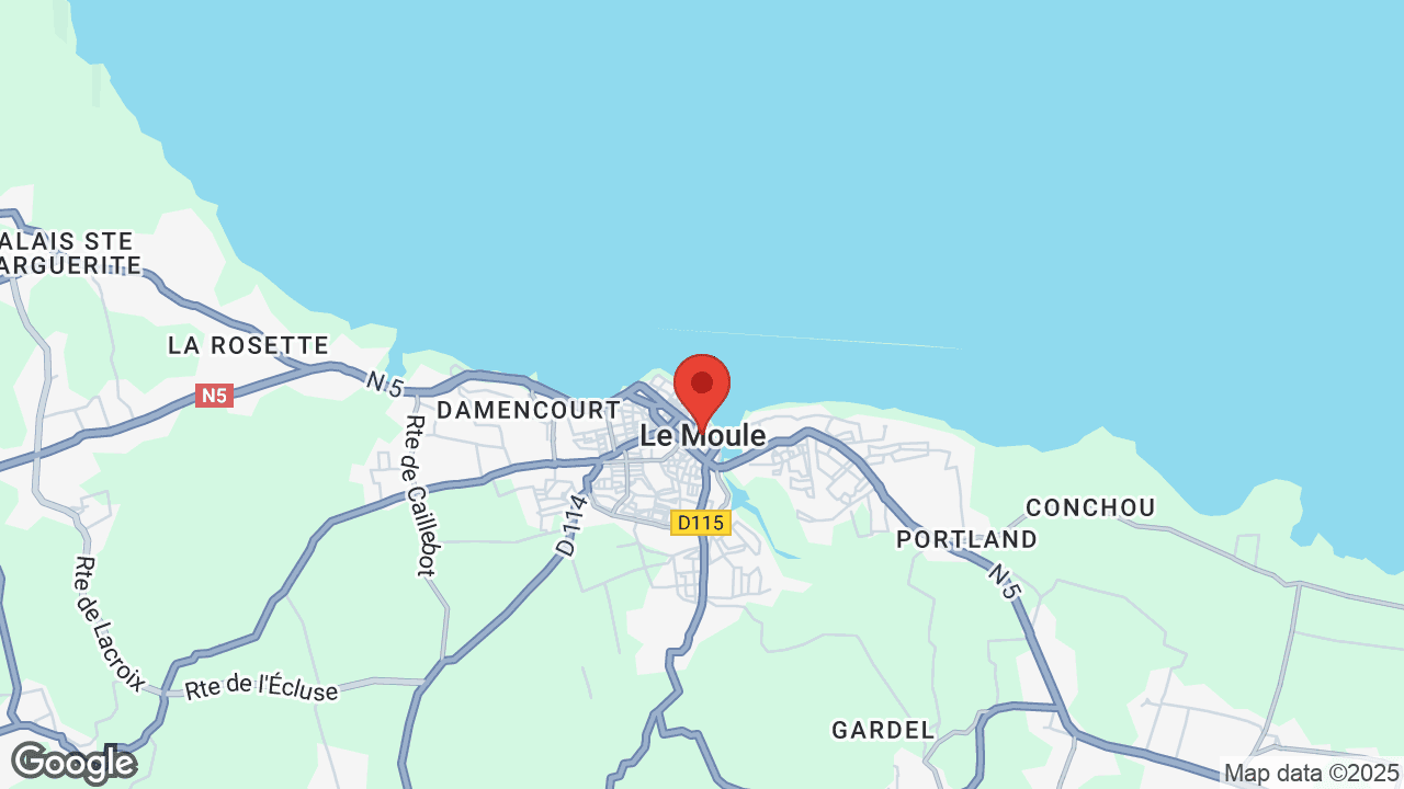 Google map
