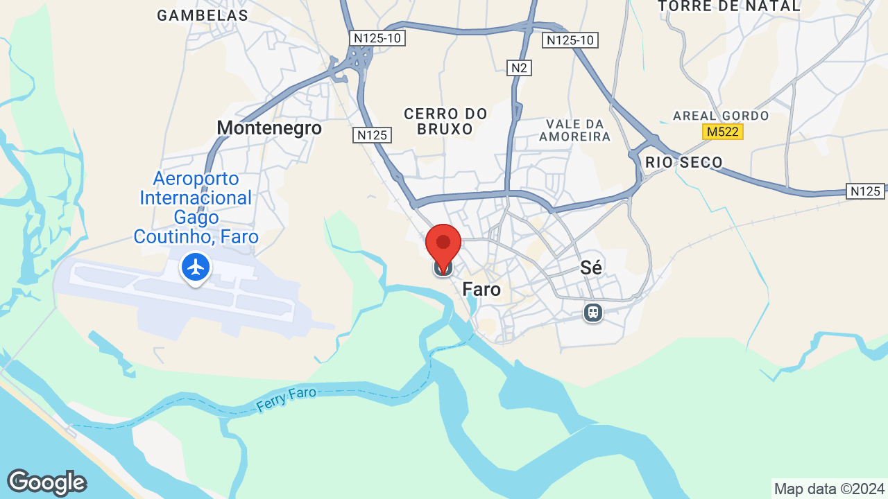 Google map
