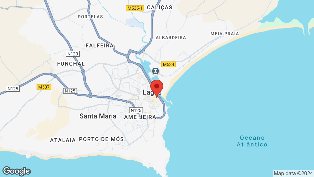Google map
