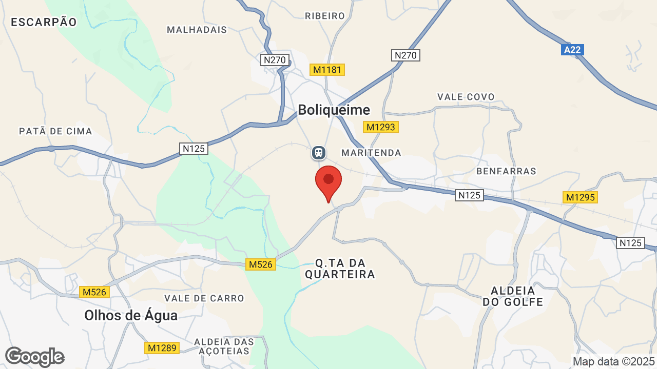 Google map