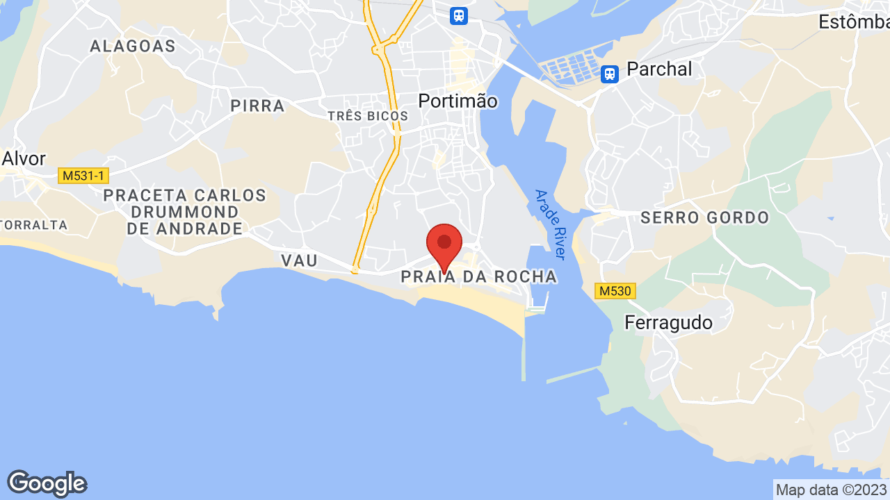 Google map