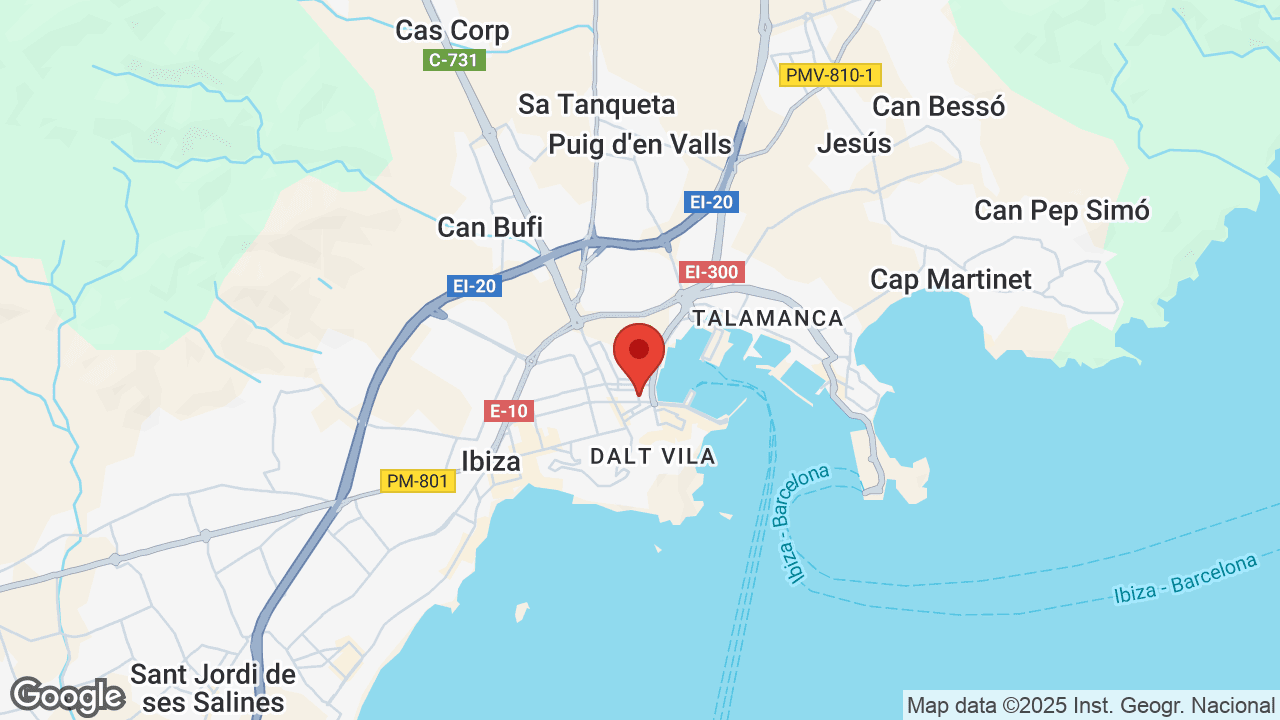 Google map
