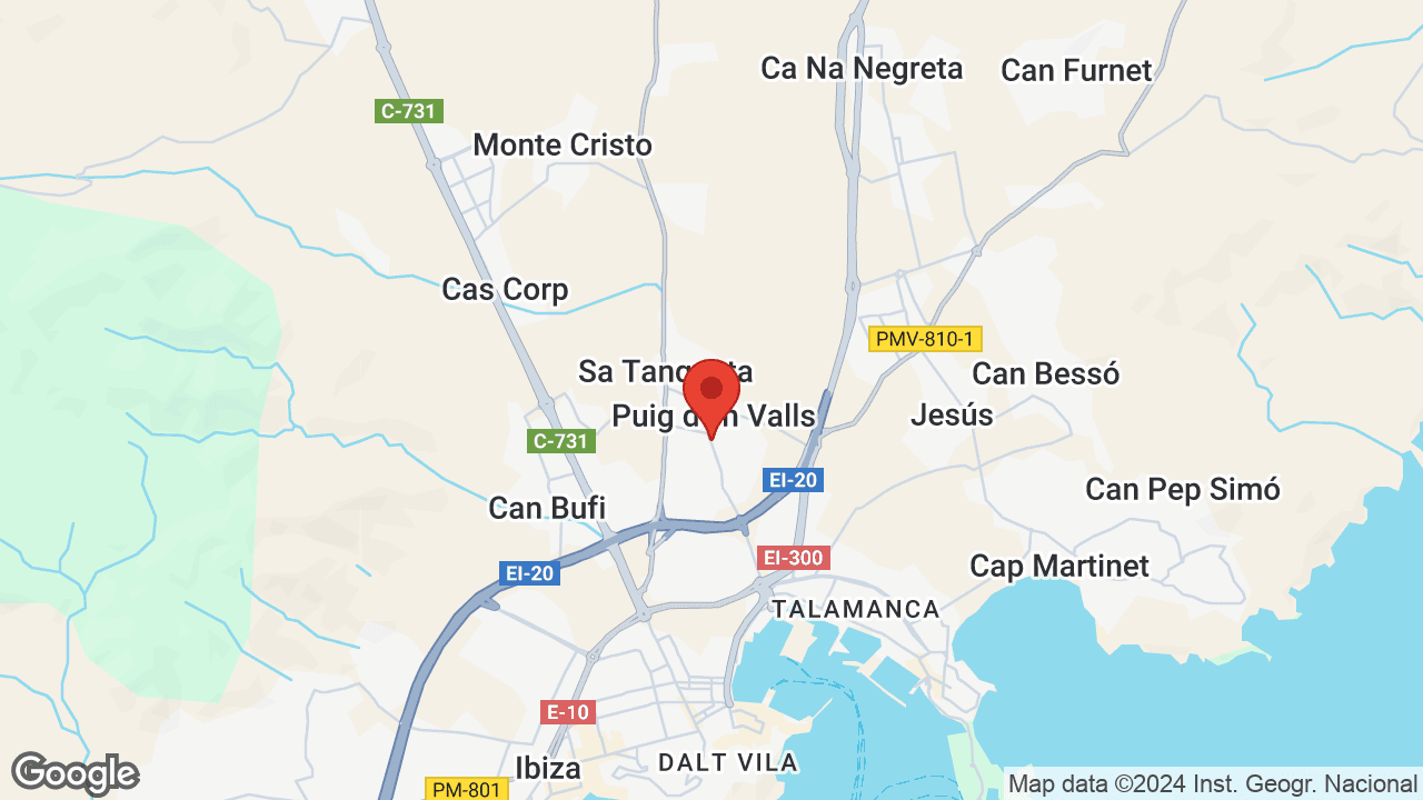 Google map
