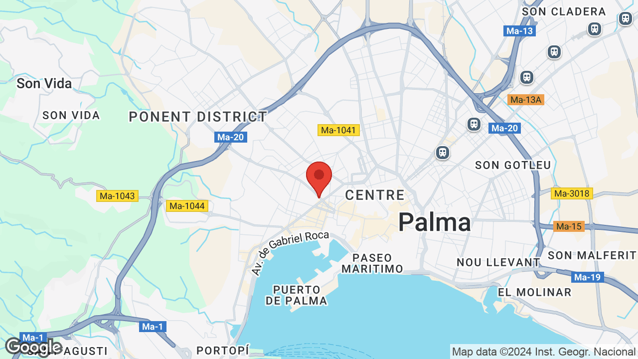 Google map