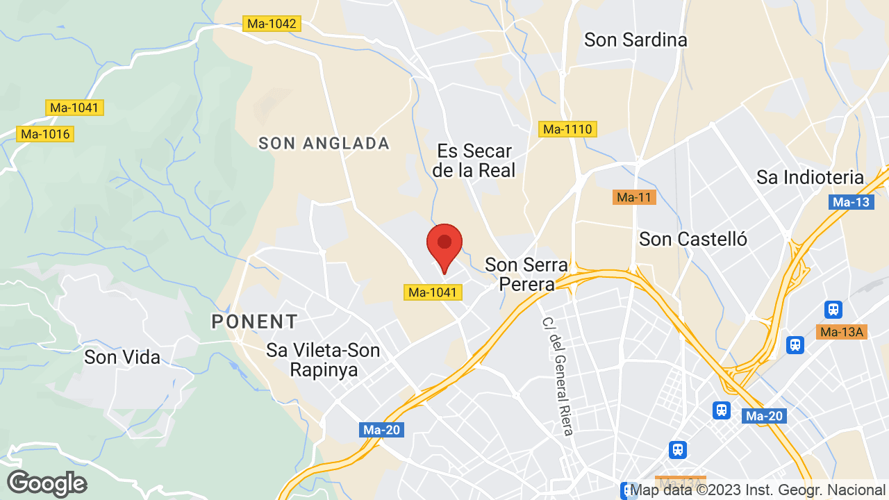 Google map