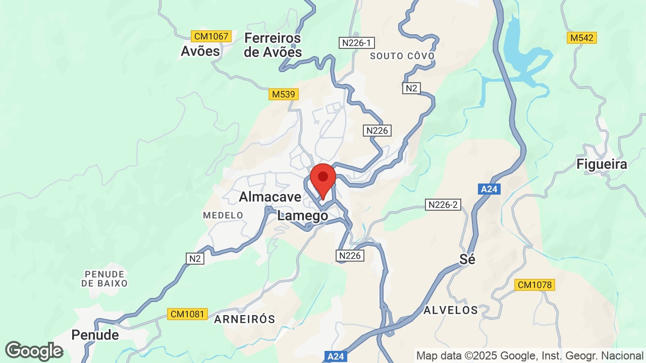 Google map