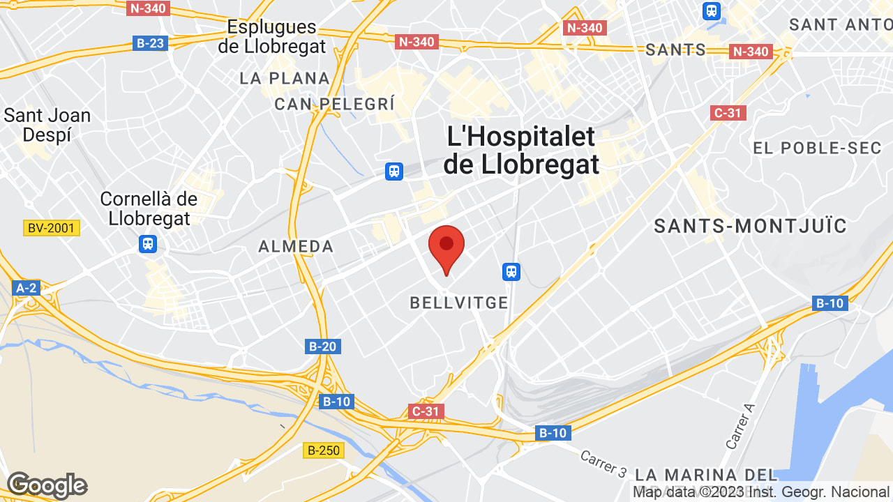 Google map