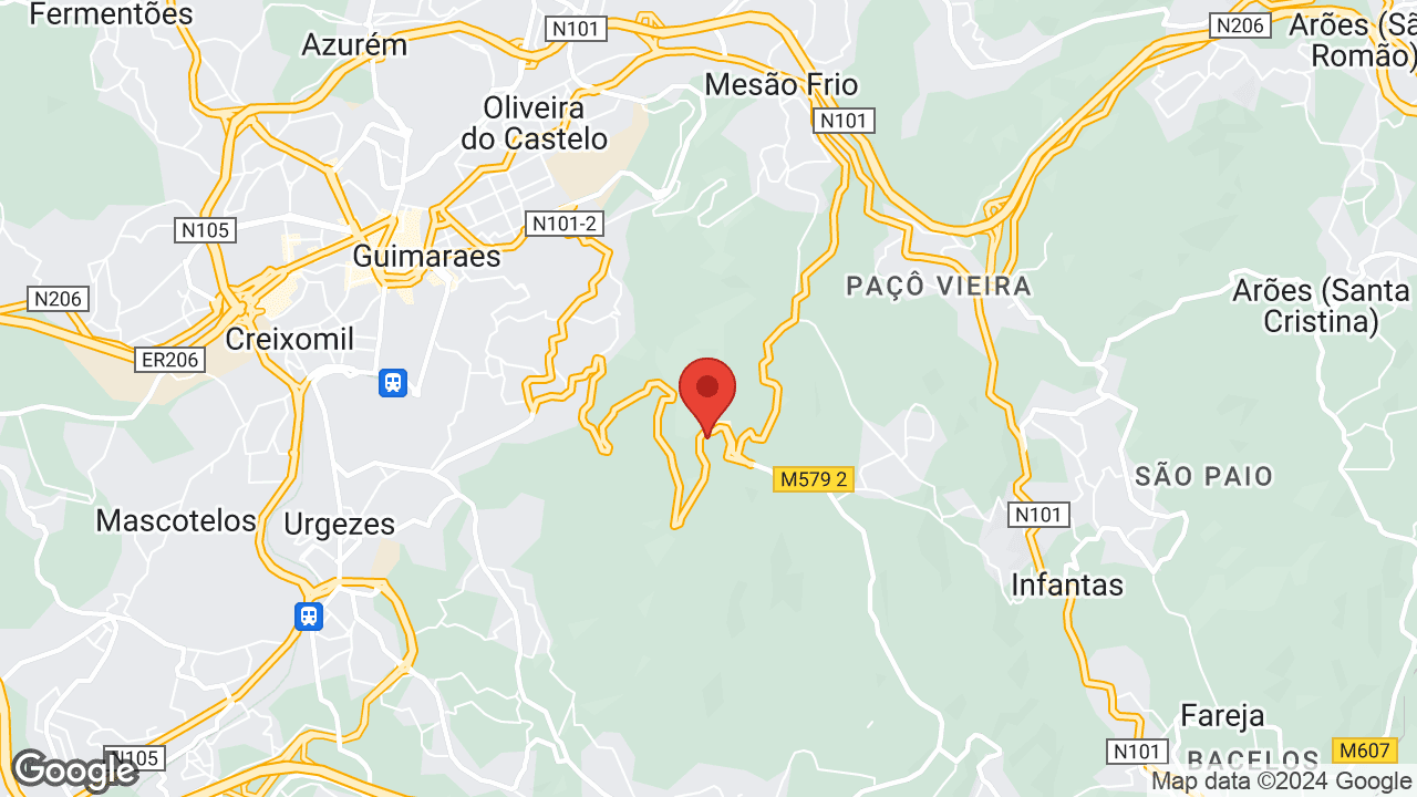 Google map