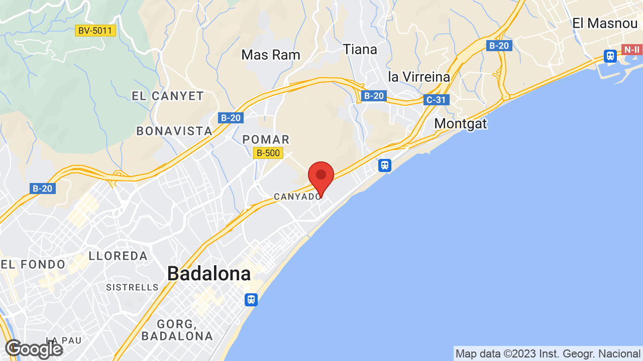 Google map
