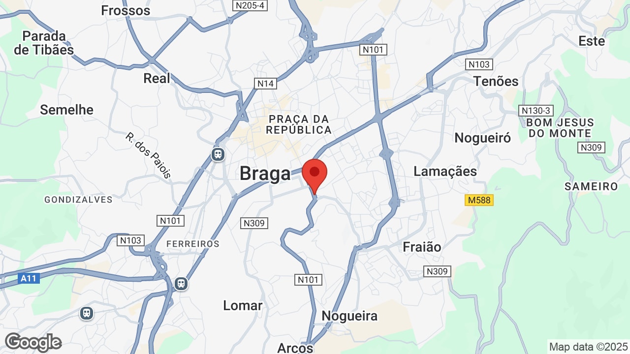 Google map