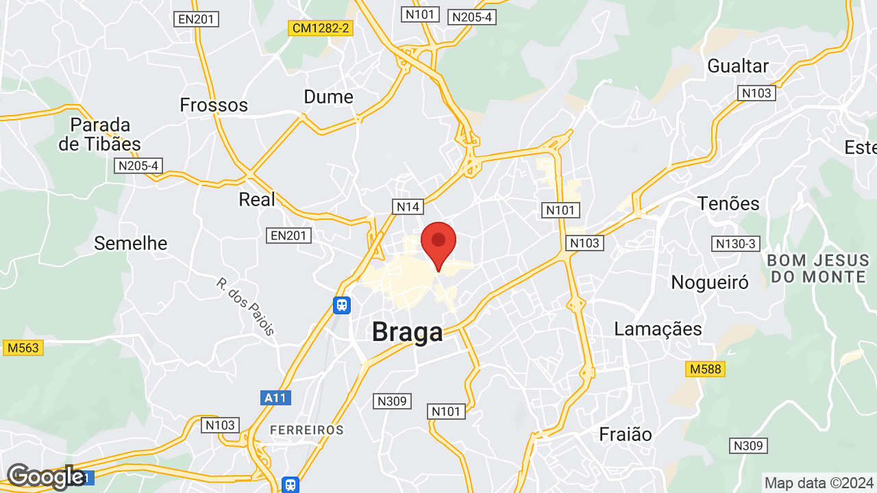 Google map
