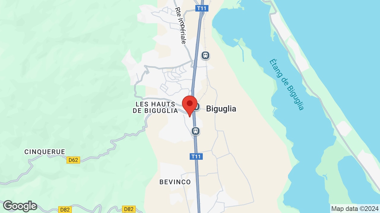 Google map