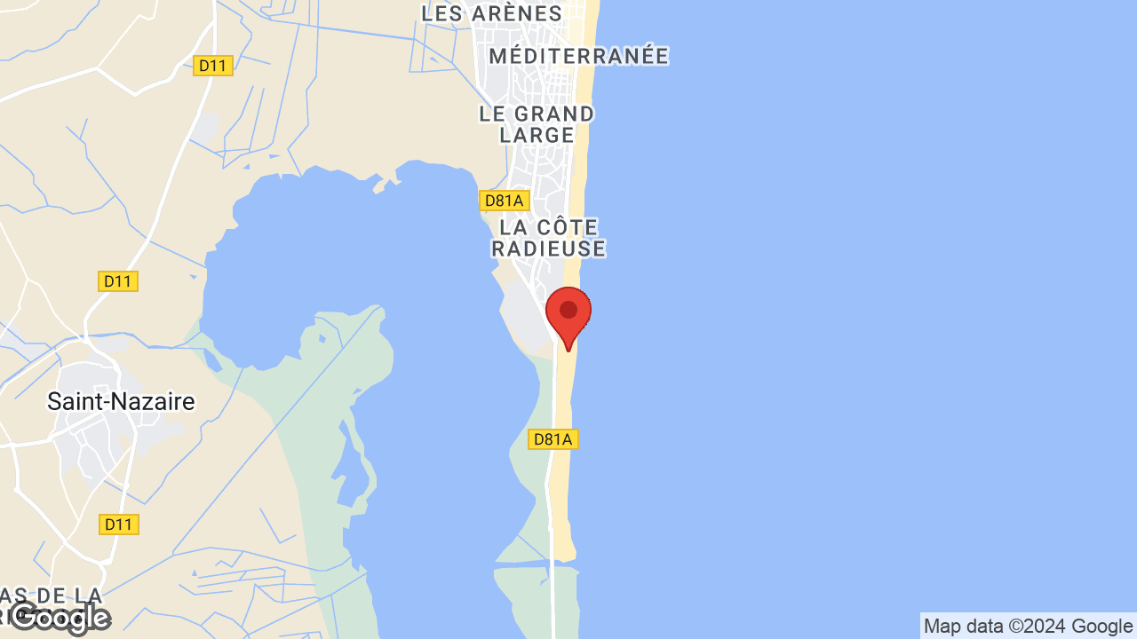 Google map