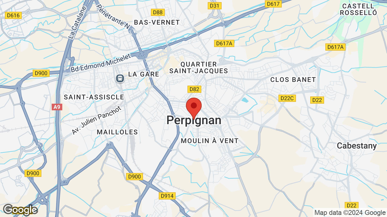 Google map