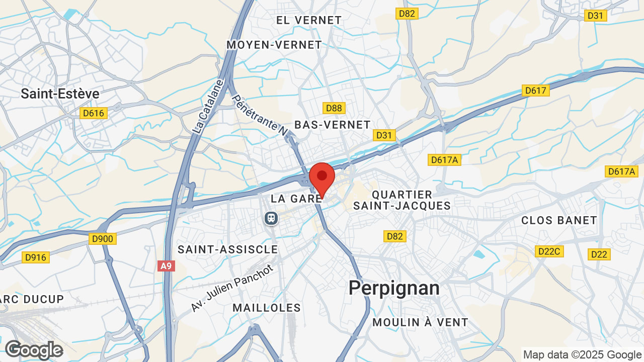 Google map