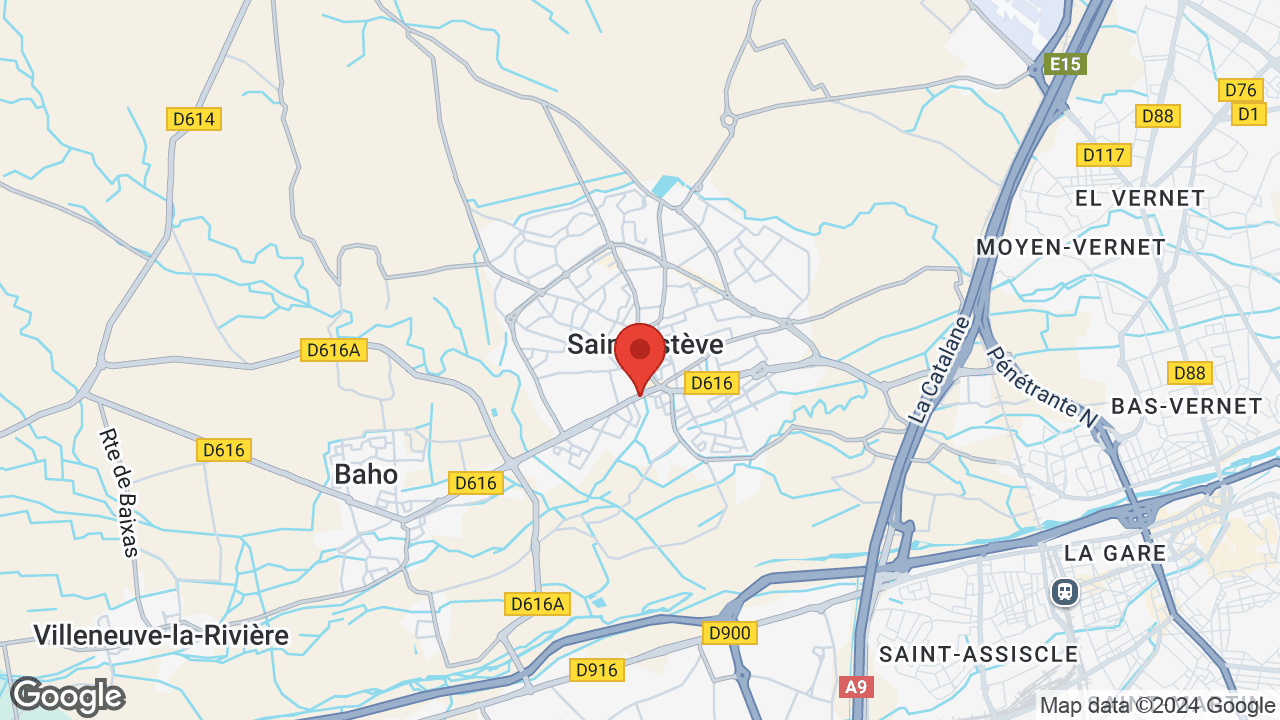 Google map