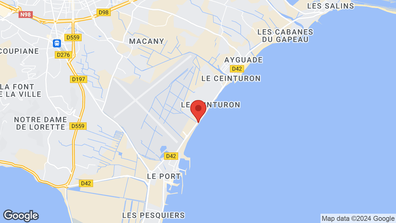 Google map