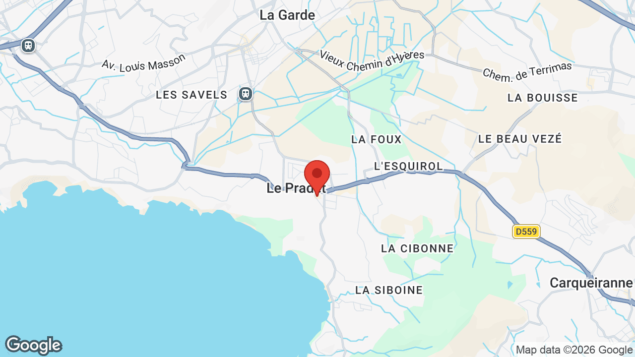 Google map