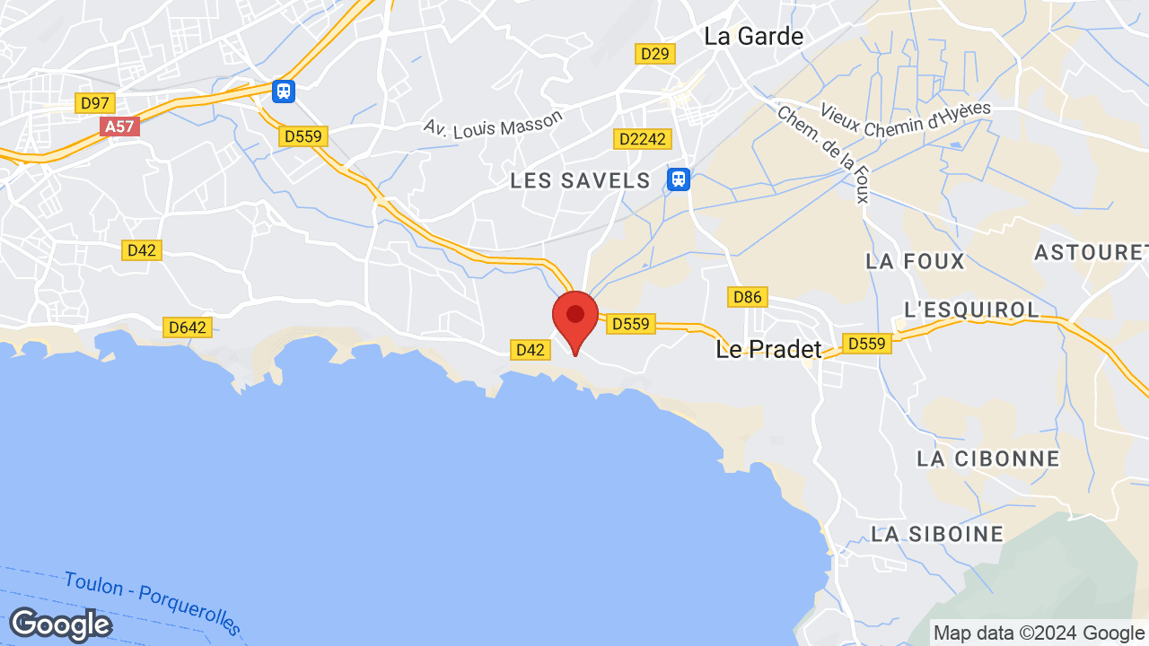 Google map