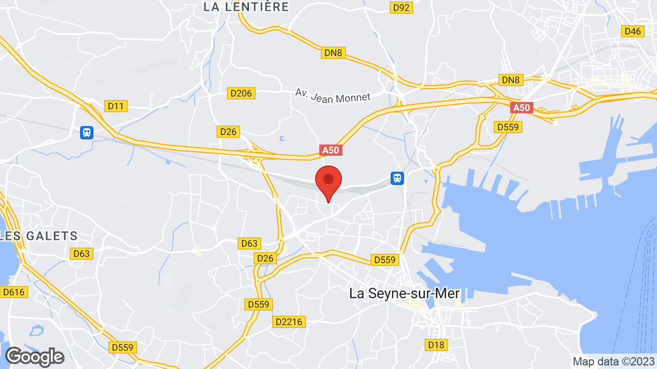 Google map