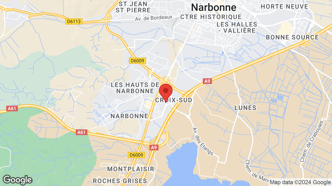 Google map